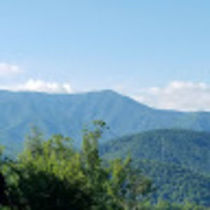 Meet your Posher, E.